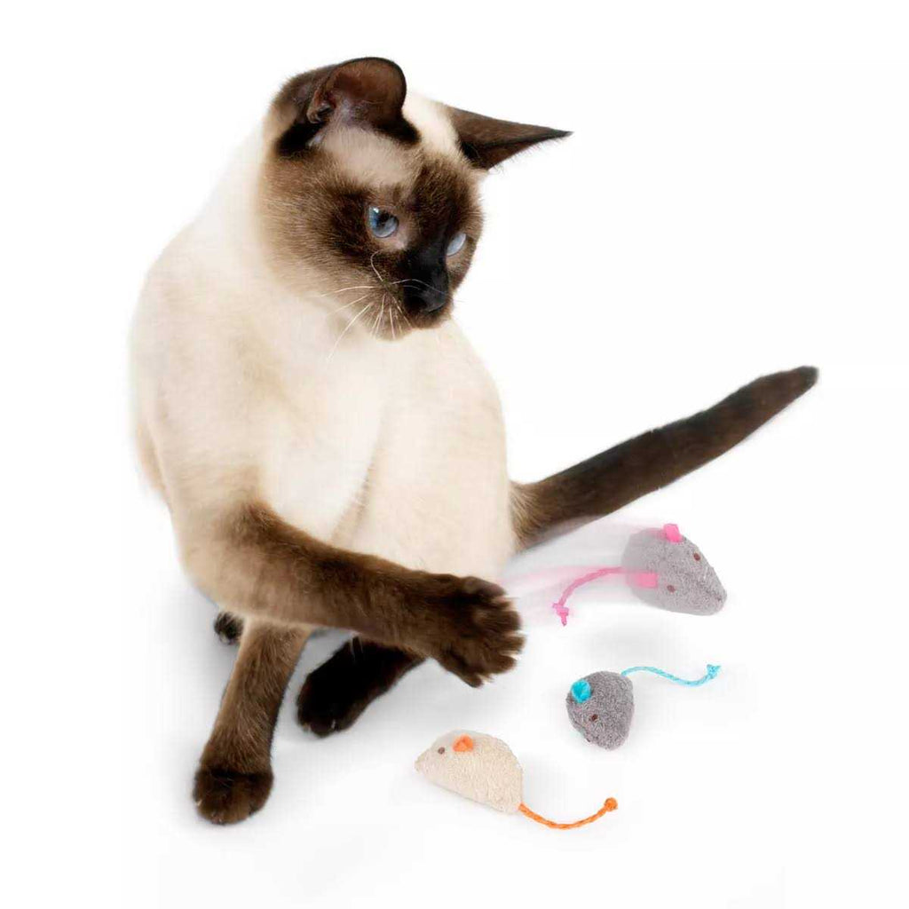 Catnip Toys X116