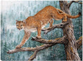Canvas Art 32x24 P844458
