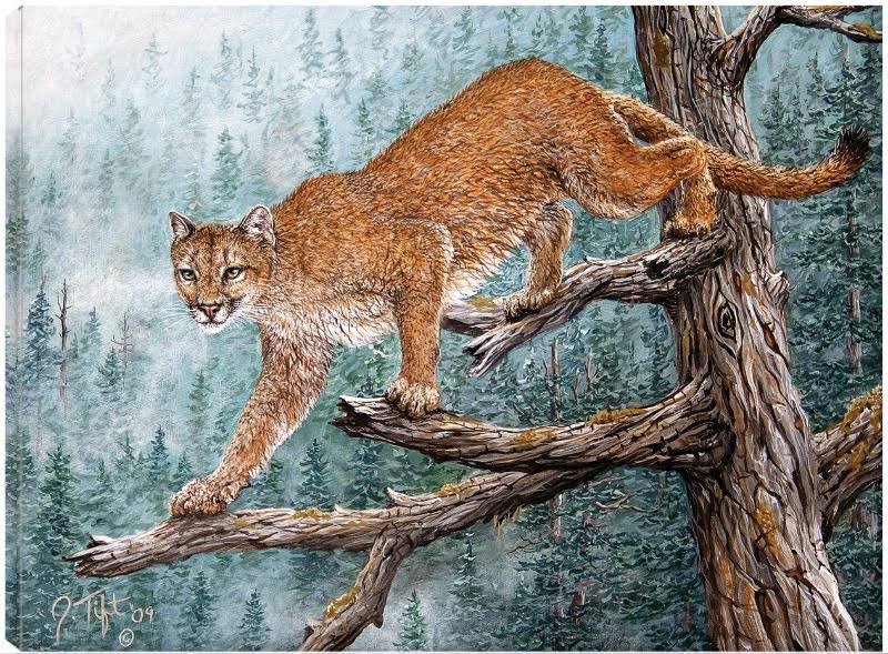 Canvas Art 32x24 P844458