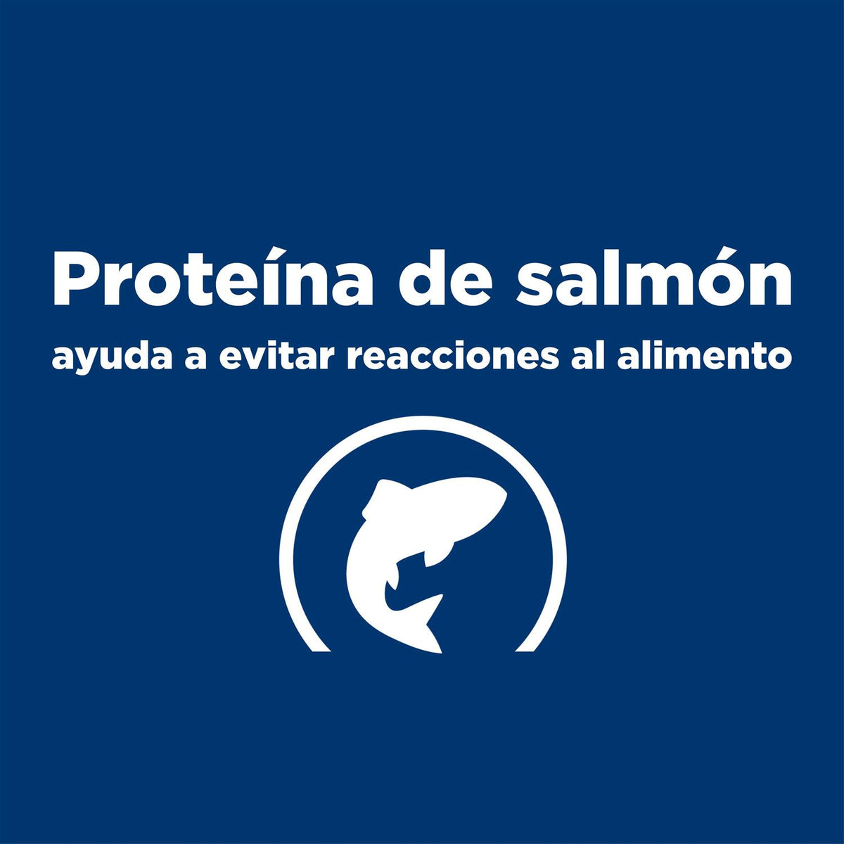 Potato & Salmon Recipe Dry Dog Food M56935