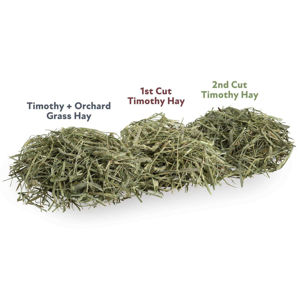 Timothy and Orchard Grass Hay Blend W763902