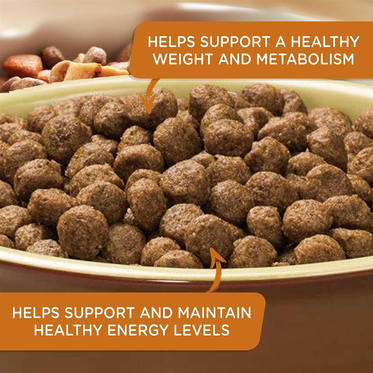Turkey Brown Rice Dry Dog Food L158835