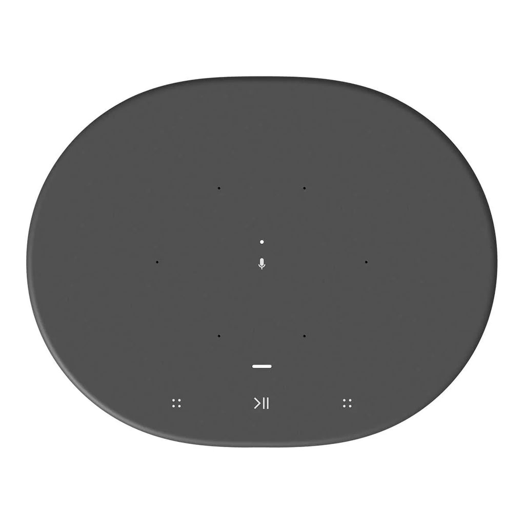 Portable Battery-Powered Bluetooth Wi-Fi Speaker X979779