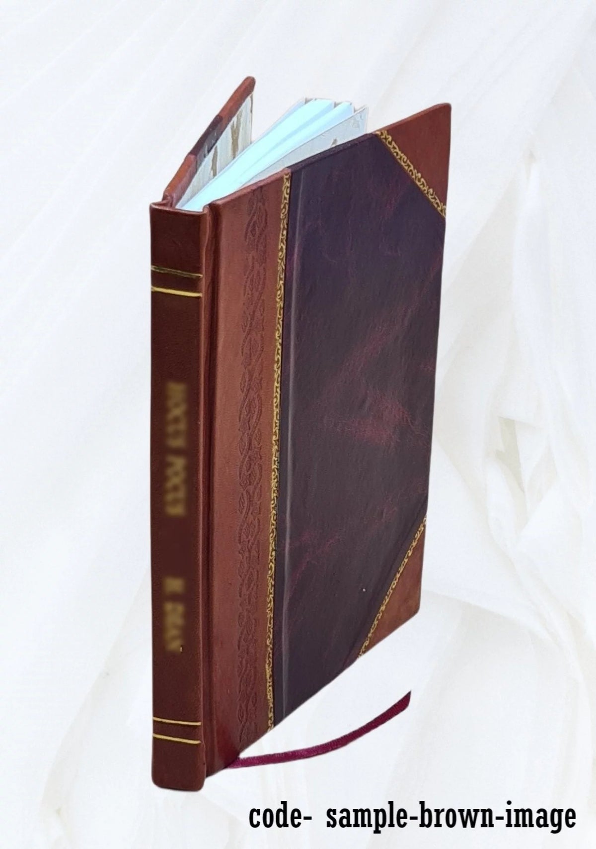 Leather Bound V26593