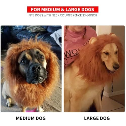 Dog Lion Mane Headwear E703