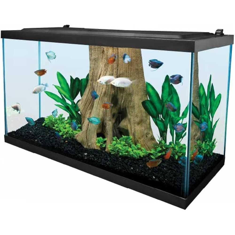 29 Gallon Glass LED Aquarium Kit A25397