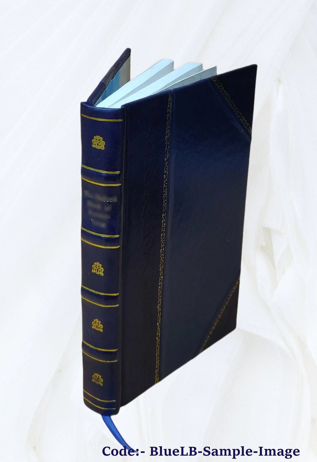 Rabbi Shalom in the shores of the Black Sea V63597