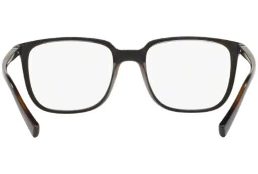 Havana Eyeglasses Q54359