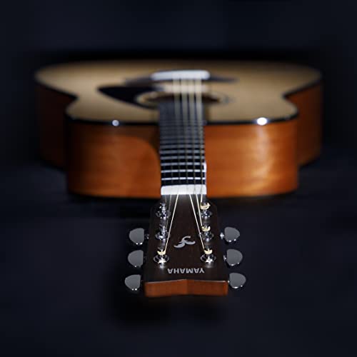 Natural Solid Top Acoustic Guitar D594