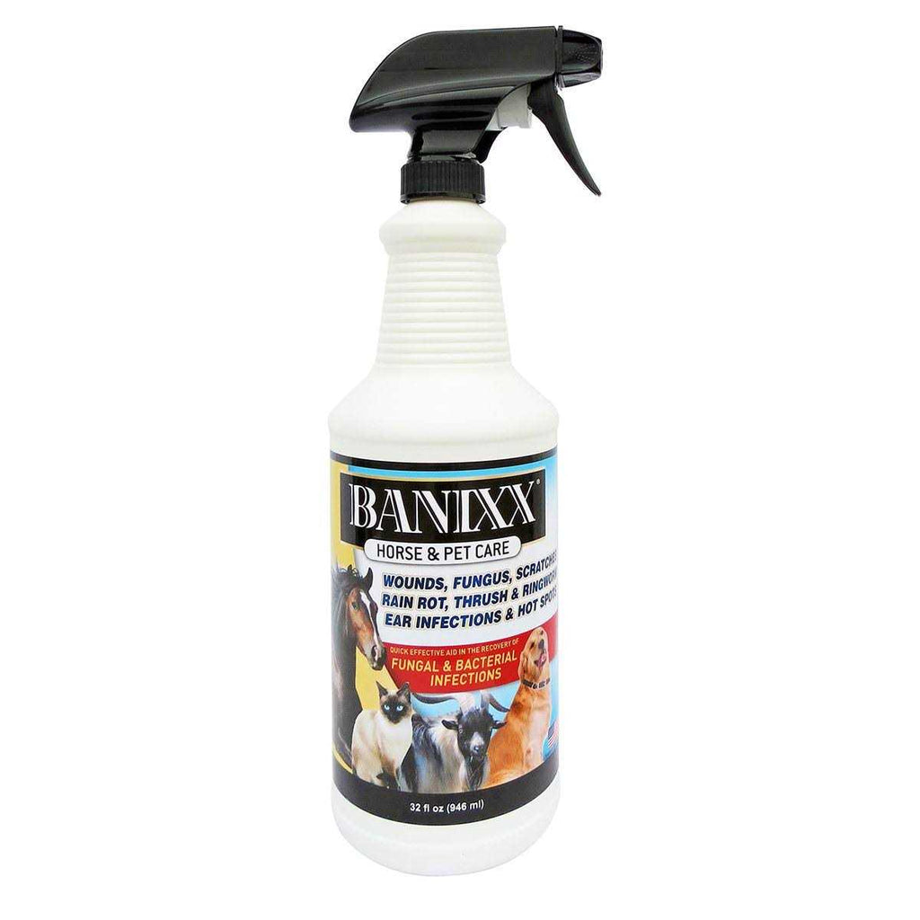 Pet Supplies Y866955