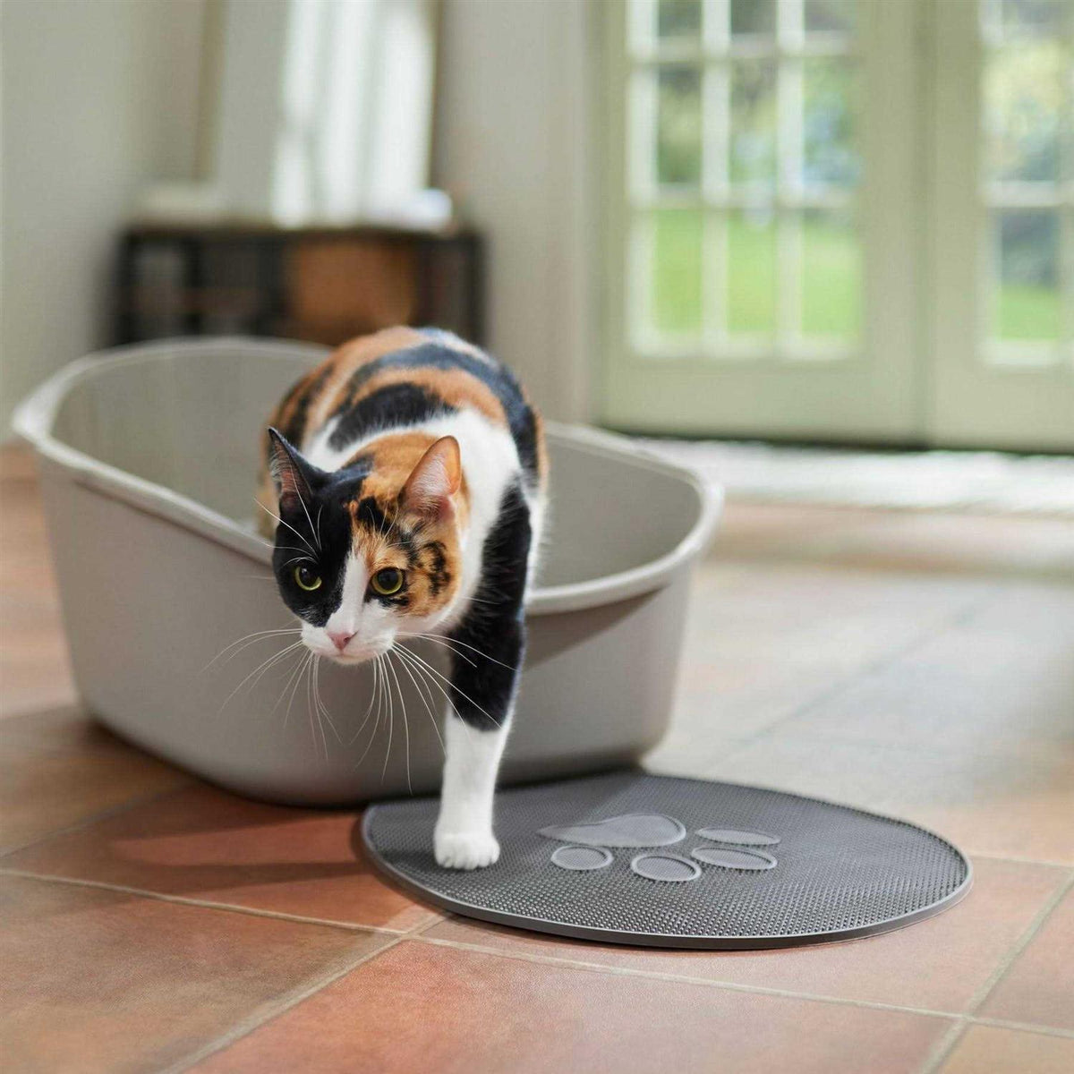 High Back Cat Litter Box D904