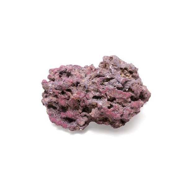 Life Rock H684