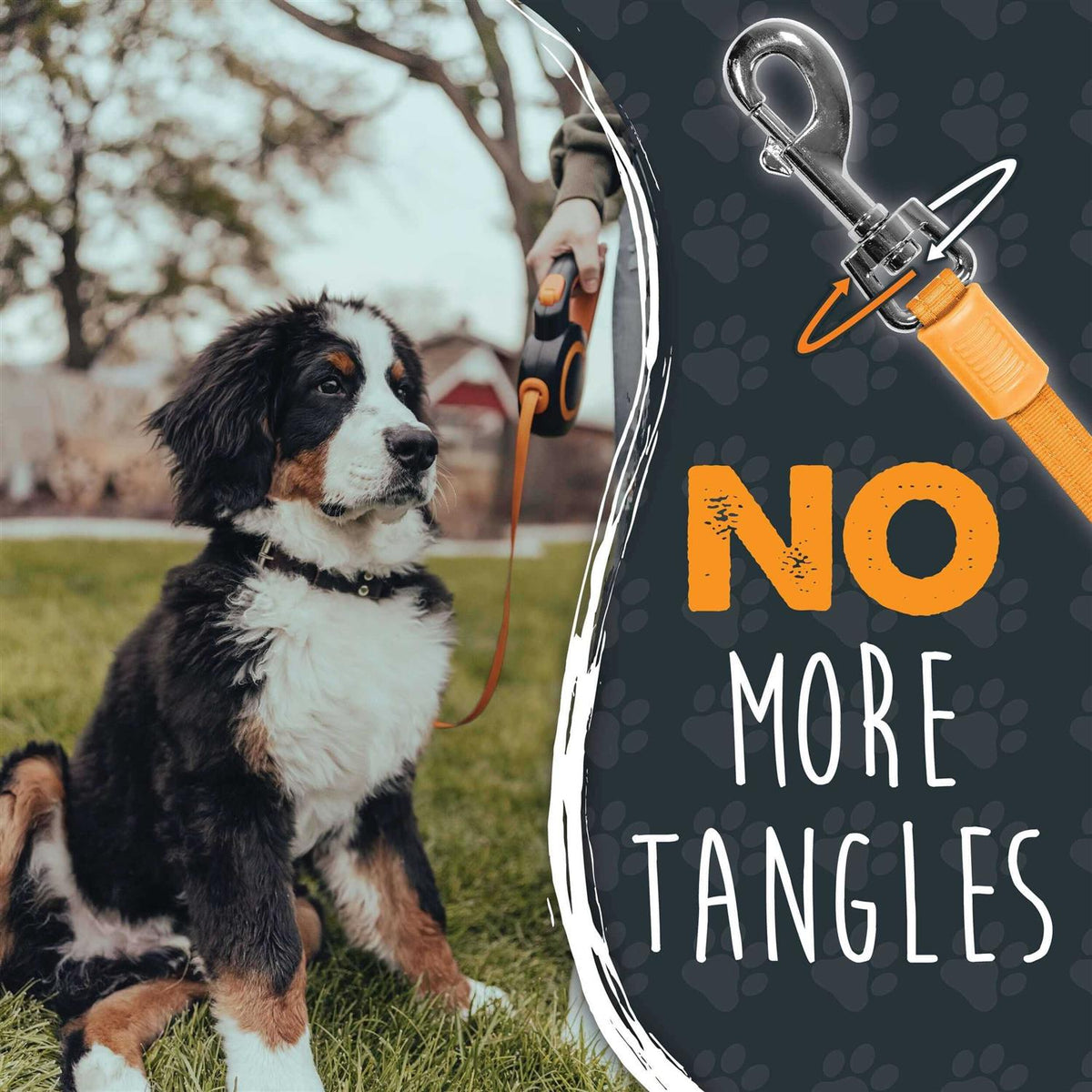 Retractable Dog Leash A429462