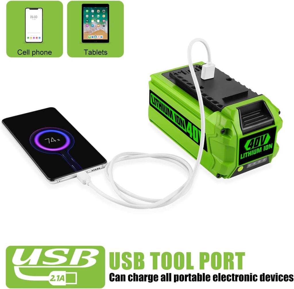40V 6.0Ah Battery Pack of 2 N1402