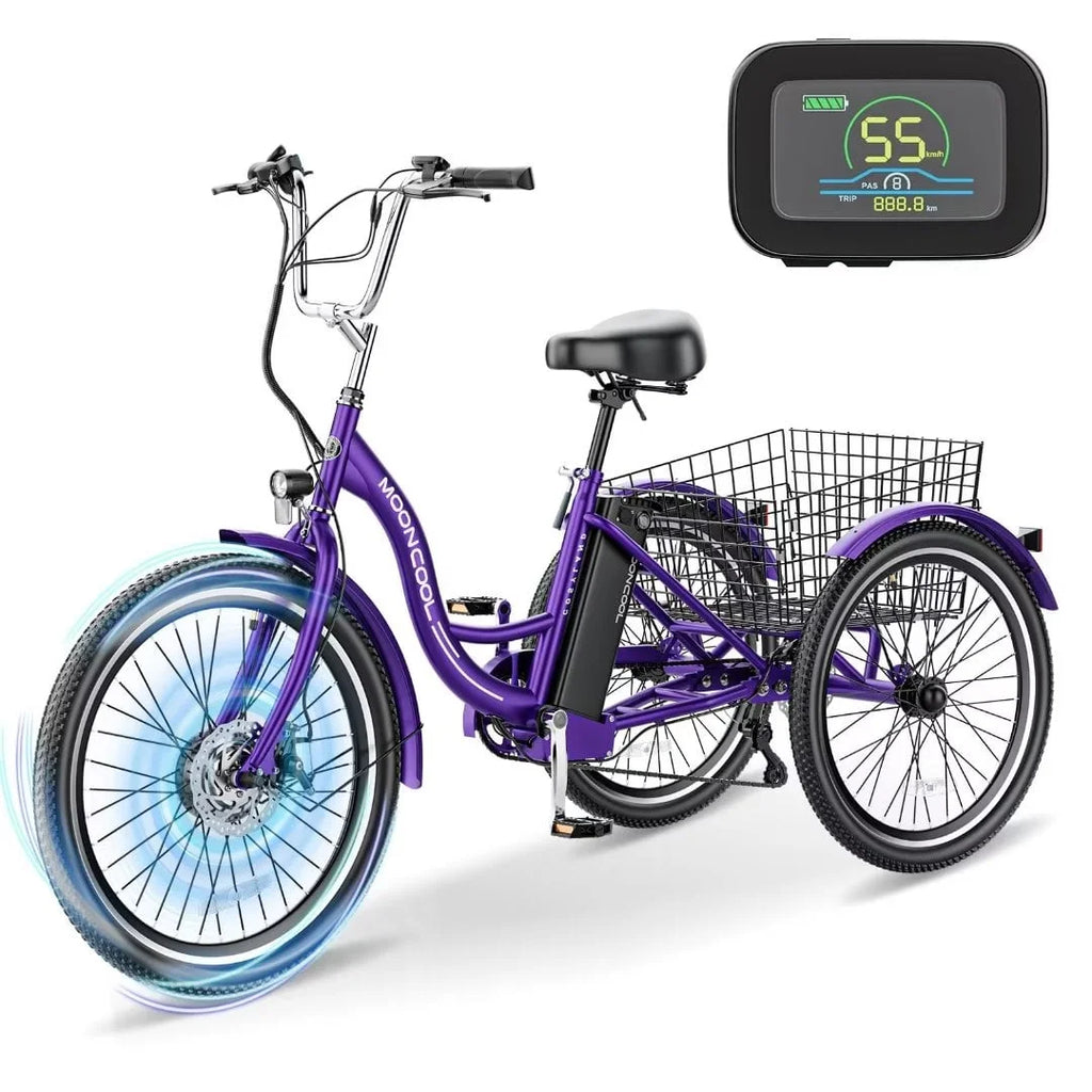 3 Wheel 500W Electric Trike N788388