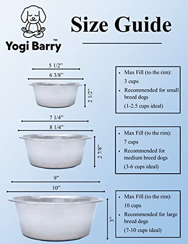 Stainless Steel Dog Bowl Set of 2 with Silicone Non-Skid Base Q58927