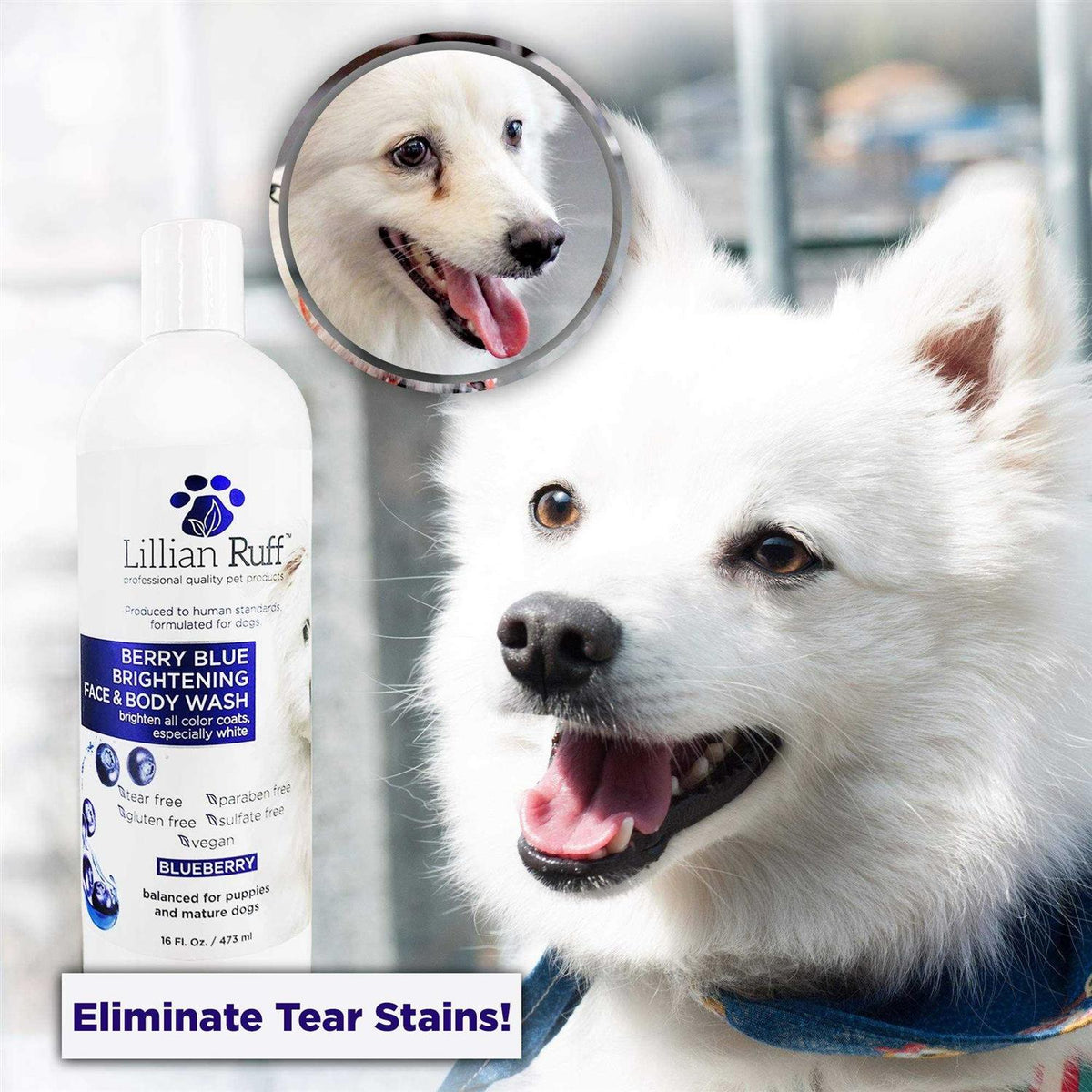 Berry Blue Brightening Face and Body Wash for Dogs and Cats M80999
