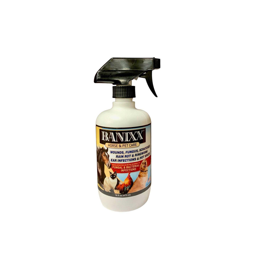 Pet Supplies Y866955