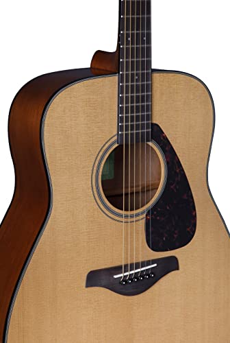 Natural Solid Top Acoustic Guitar D594