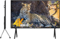 100 Inch 4K UHD Smart TV R187