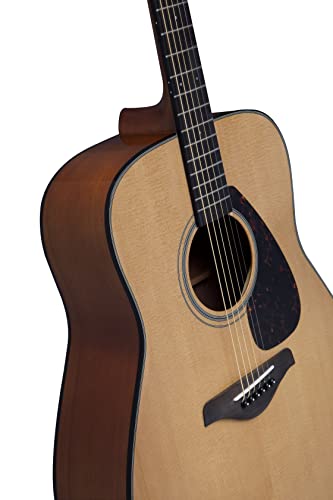 Natural Solid Top Acoustic Guitar D594