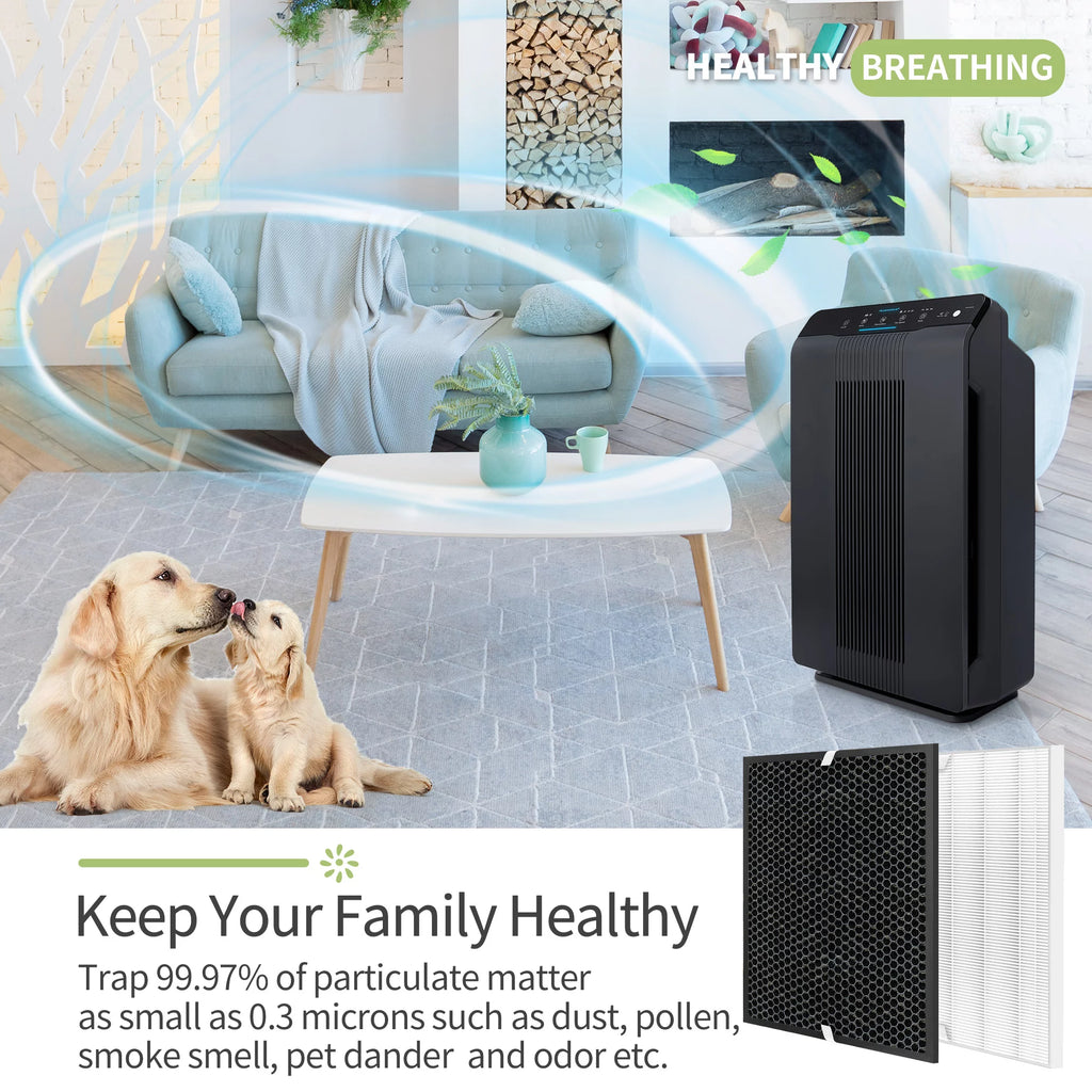 2 Sets H13 HEPA and Activated Carbon Filters D87885