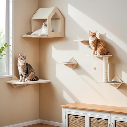 Natural Wood Cat Wall Shelves Set of 5 with House Steps Scratching Post Perch G7549