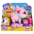 My Pet Pig A67208