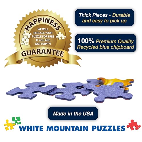 1000 Piece Jigsaw Puzzle 24"x30" Large Pieces N75546