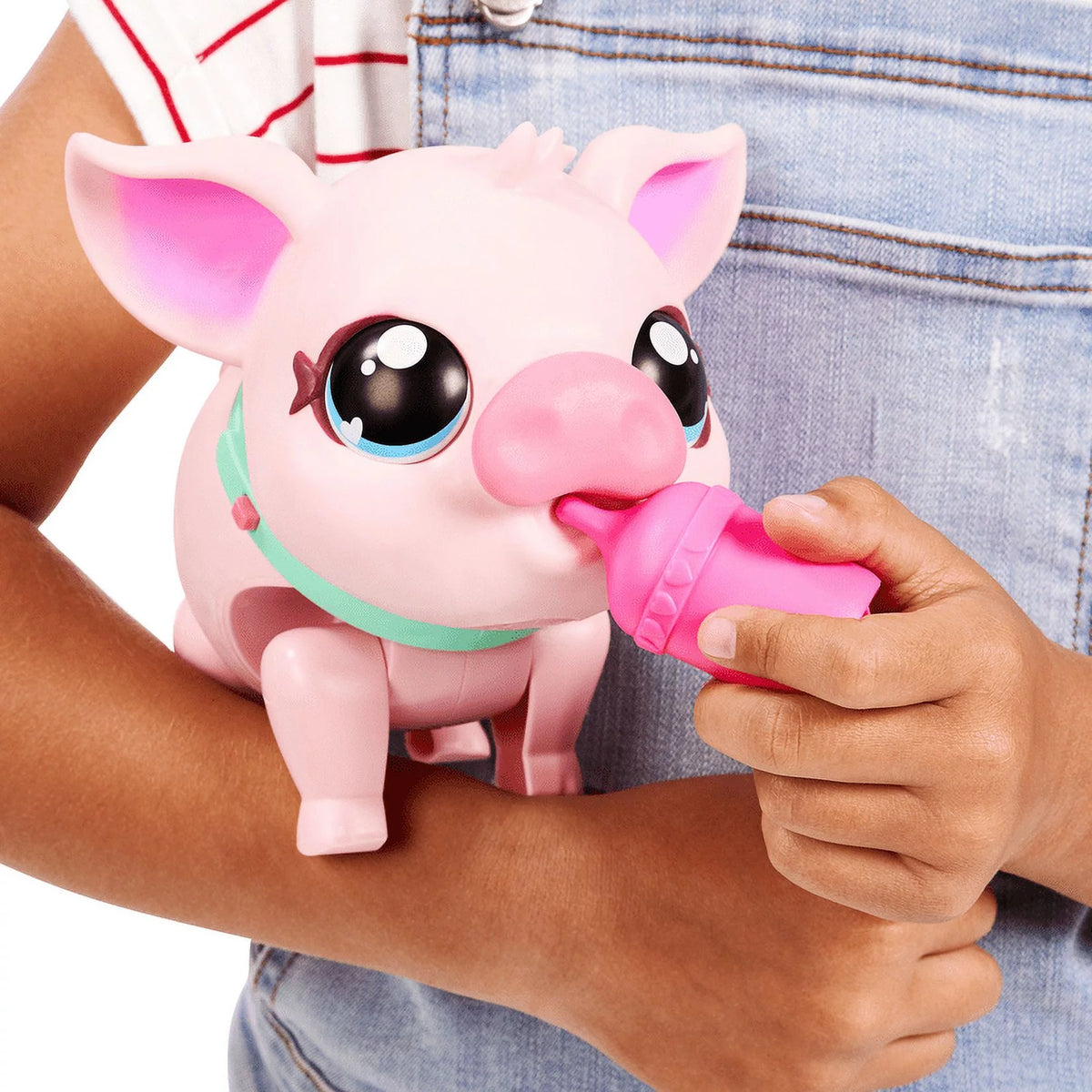 My Pet Pig A67208