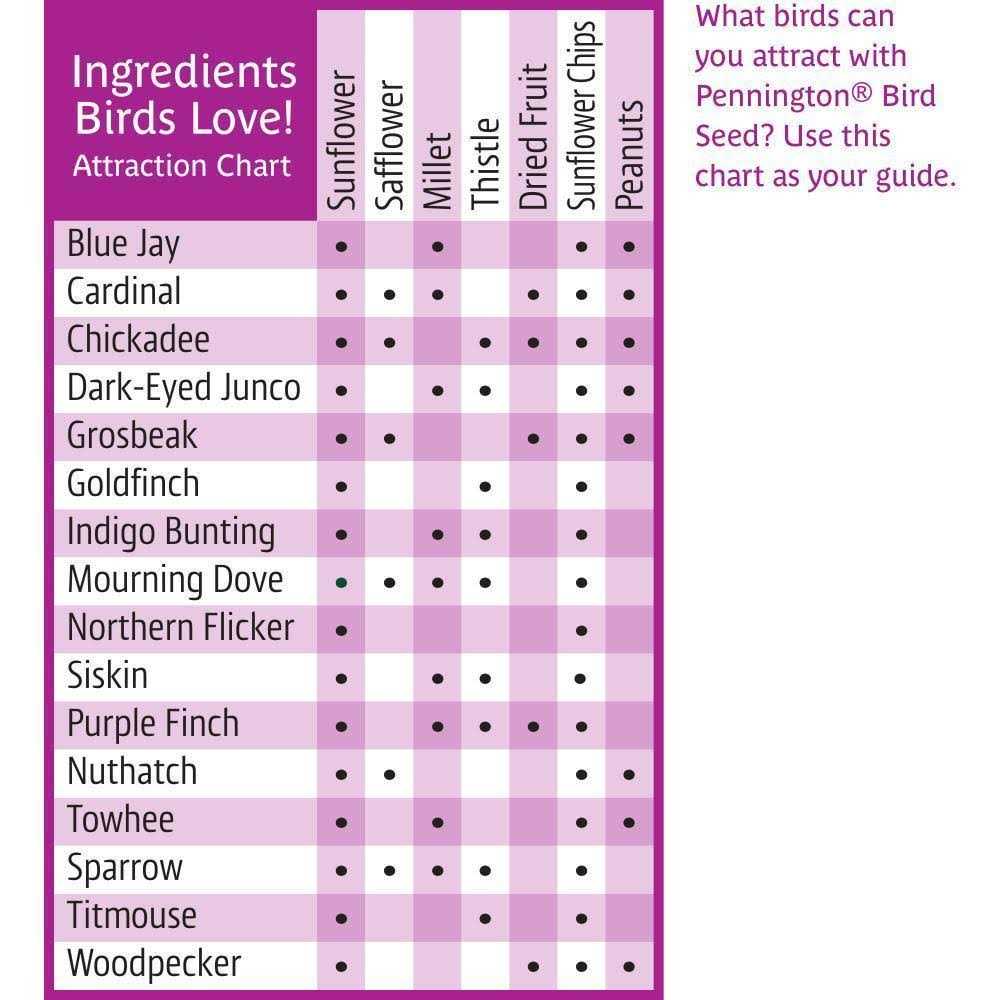 Ultra Fruit & Nut Blend Wild Bird Seed and Feed R2827