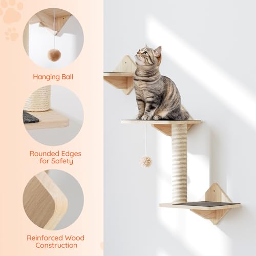 Natural Wood Cat Wall Shelves Set of 5 with House Steps Scratching Post Perch G7549