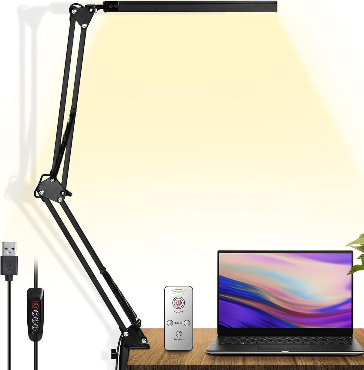 LED Desk Lamp with Clamp and Round Base R707024