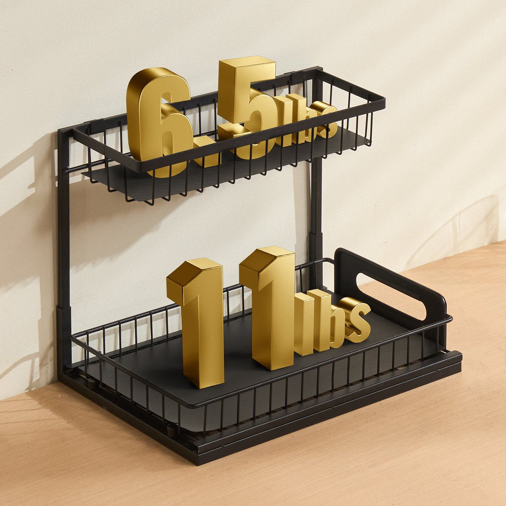 2-Tier Pull Out Cabinet Organizer E10883