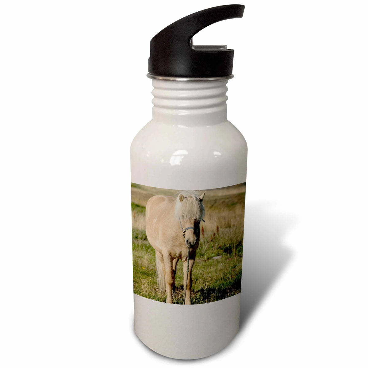 Sports Water Bottle A34571