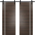 Double Barn Door 36 x 80 inches with Frosted Glass E94895