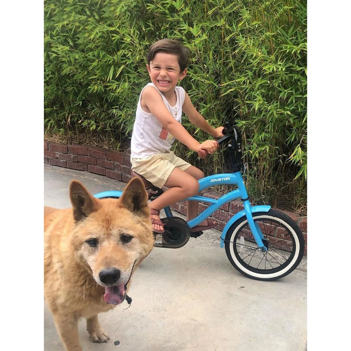 16 Inch Kids Toddler Bicycle with Training Wheels U2293