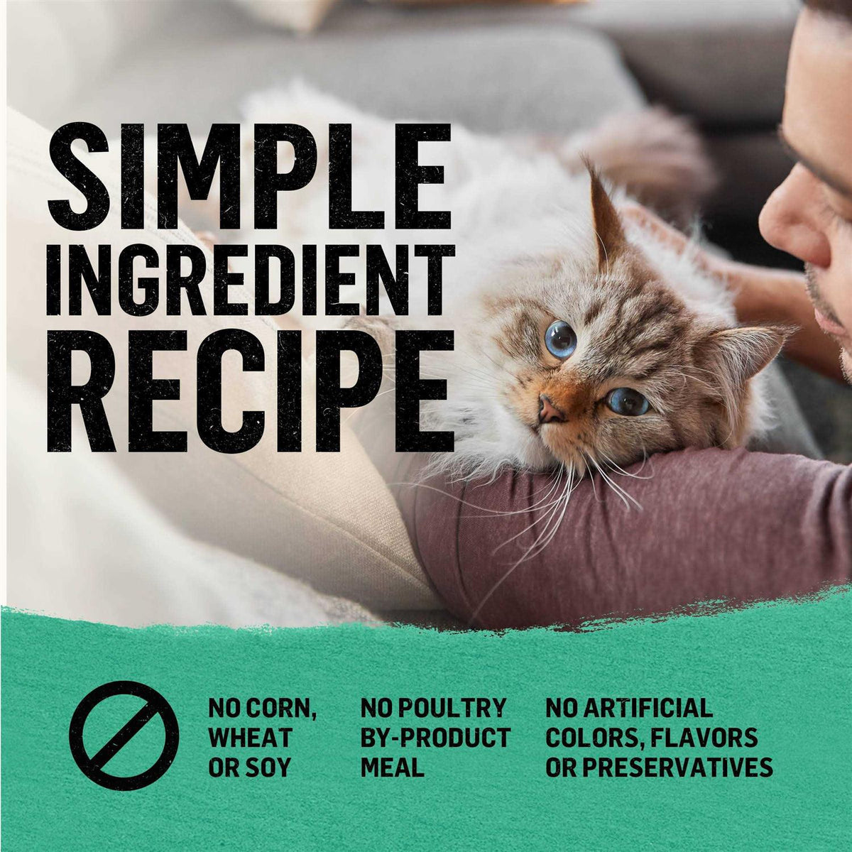 Grain Free Dry Cat Food Q64554
