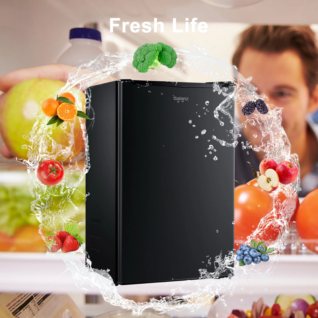 3.3 Cu ft Black Mini Fridge S42516