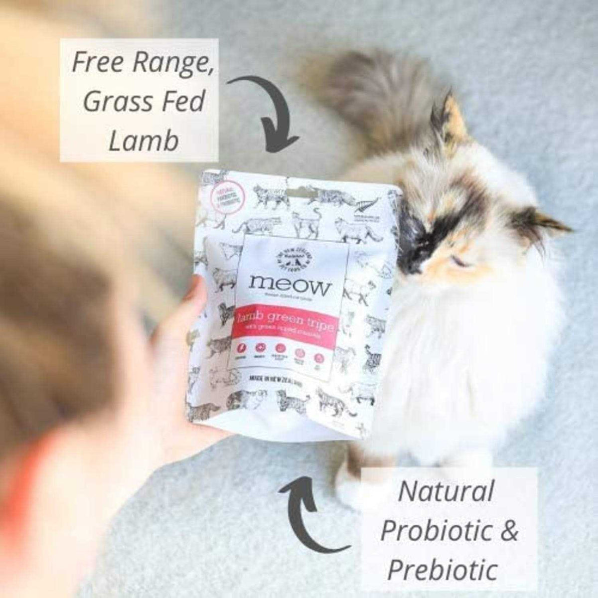 Freeze Dried Lamb Cat Treat V24572
