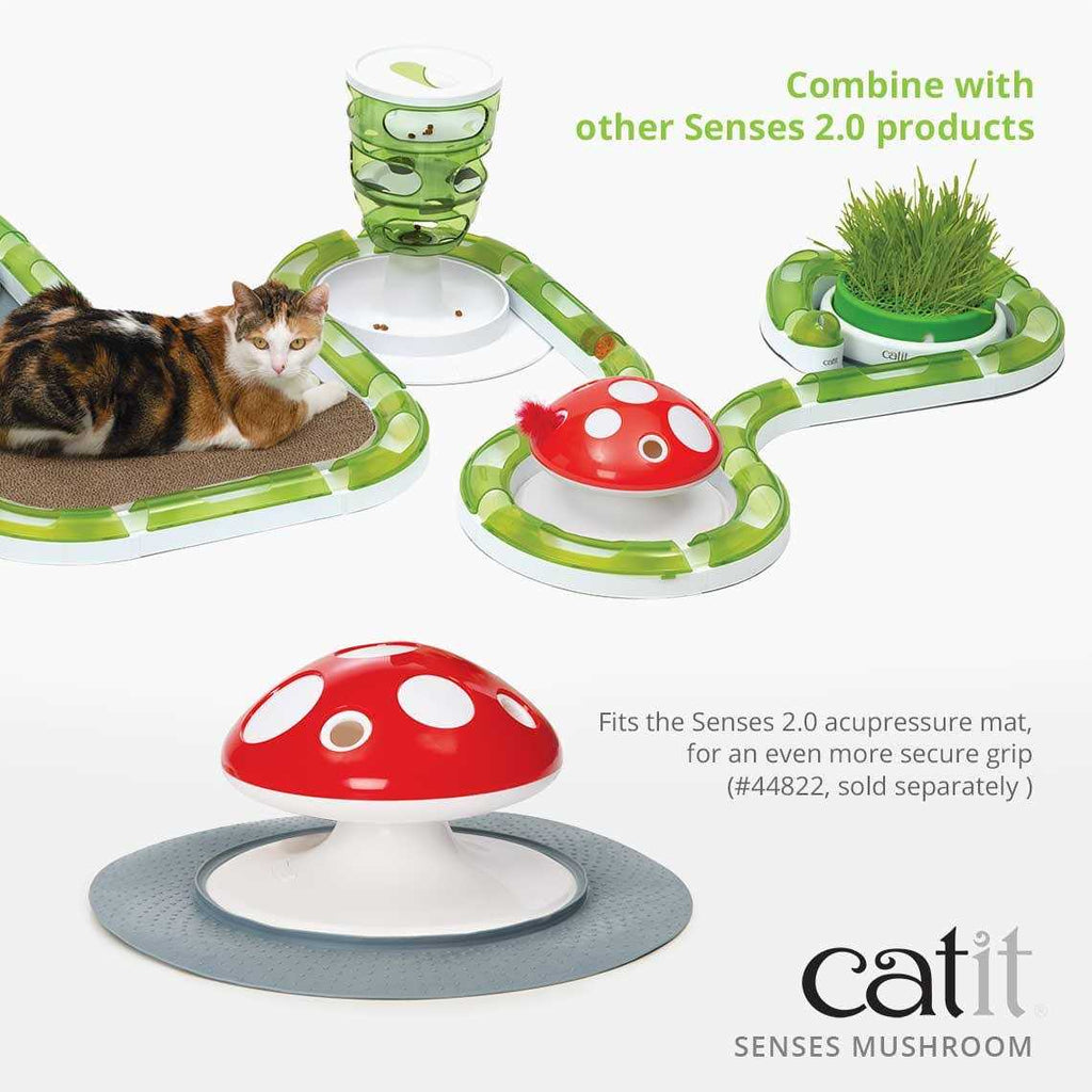 Interactive Cat Toy Z55303