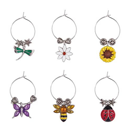 Multicolor Set of 6 Wine Charms O54537