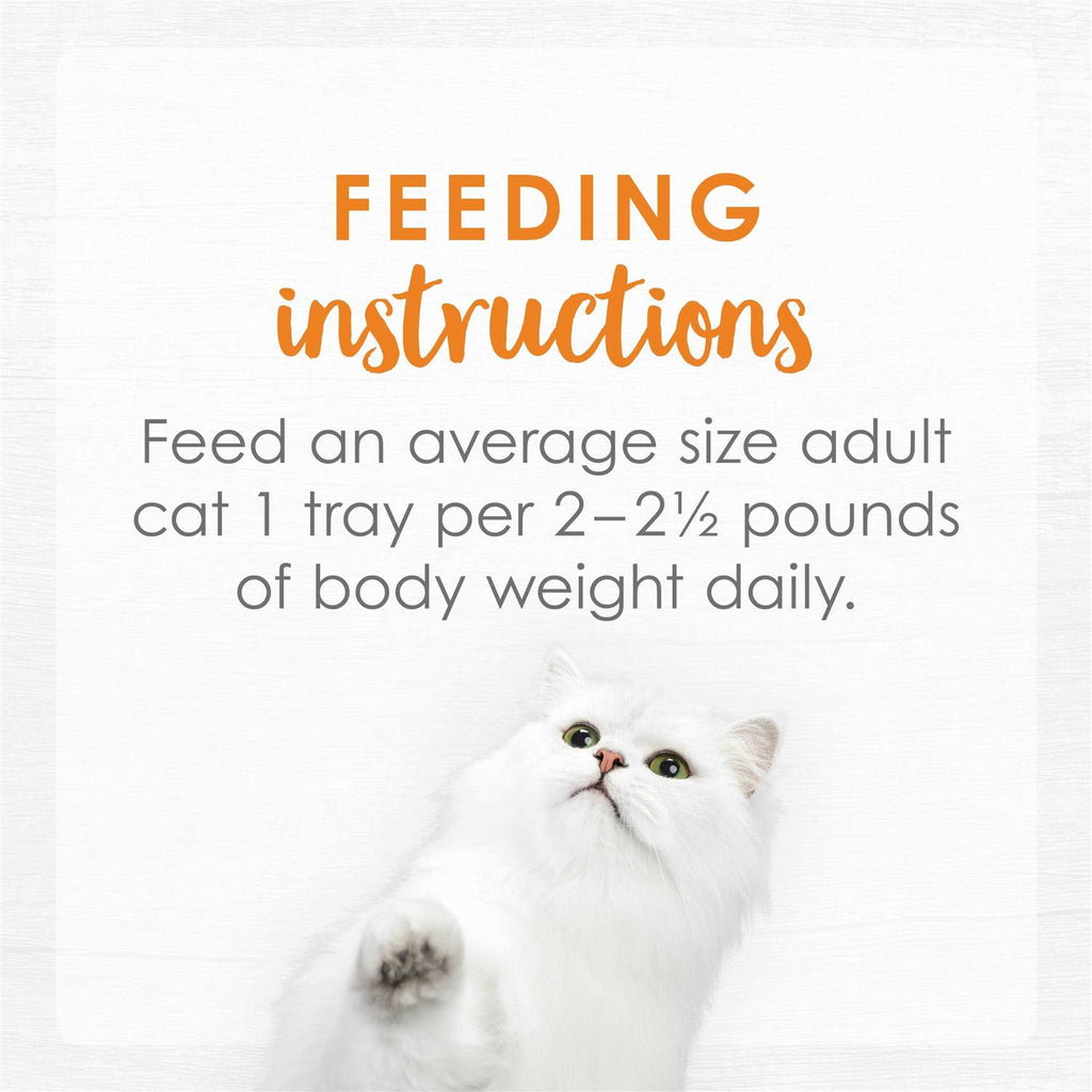 Cat Food N39109