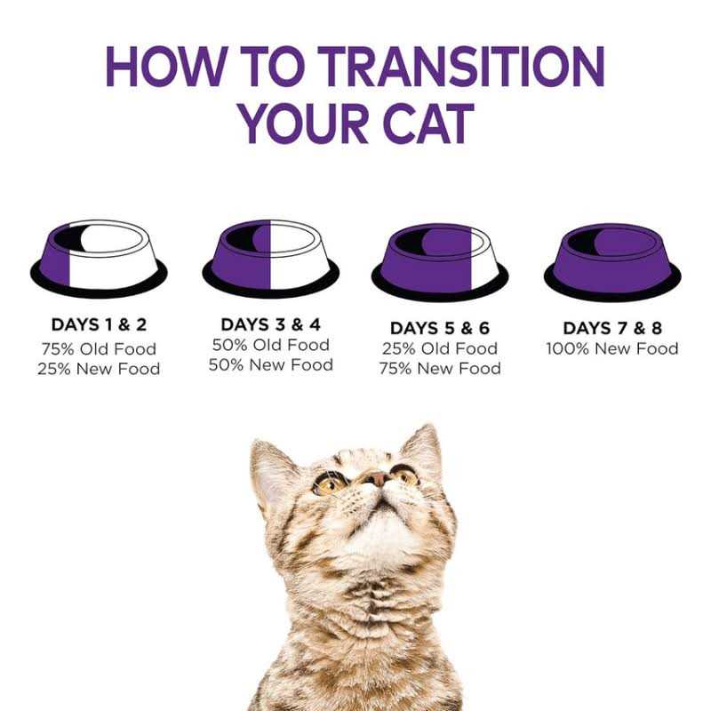 Cat Food R5659