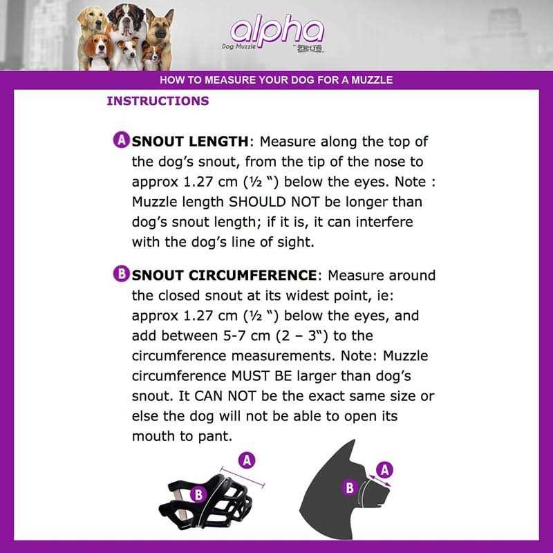 Dog Muzzle X51949
