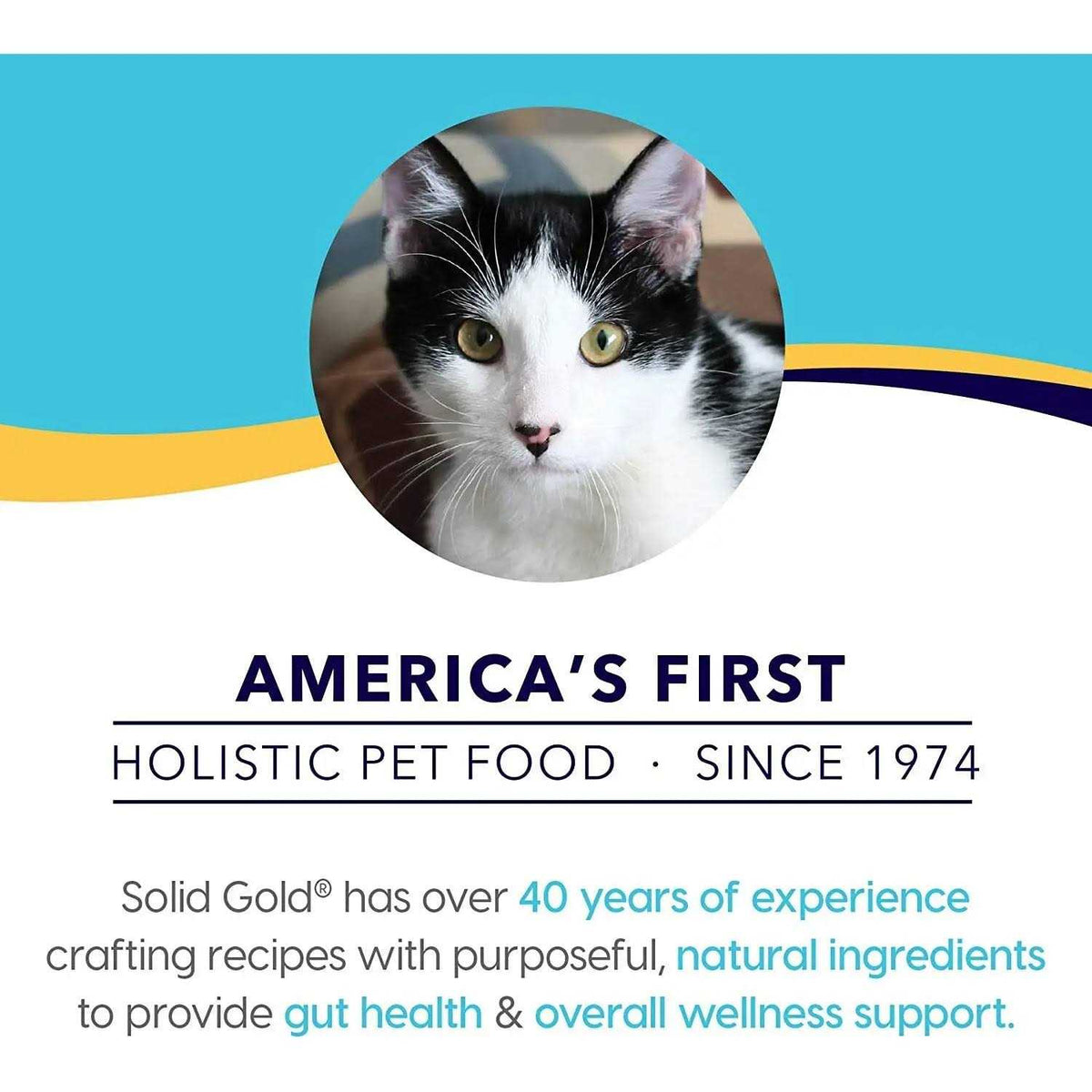 Solid Gold Indigo Moon Dry Cat Food G4001