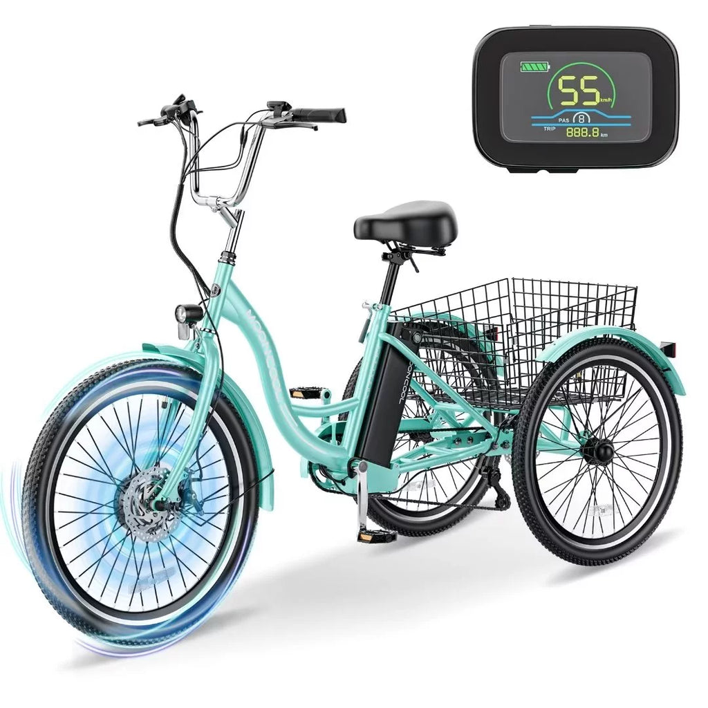 3 Wheel 500W Electric Trike N788388
