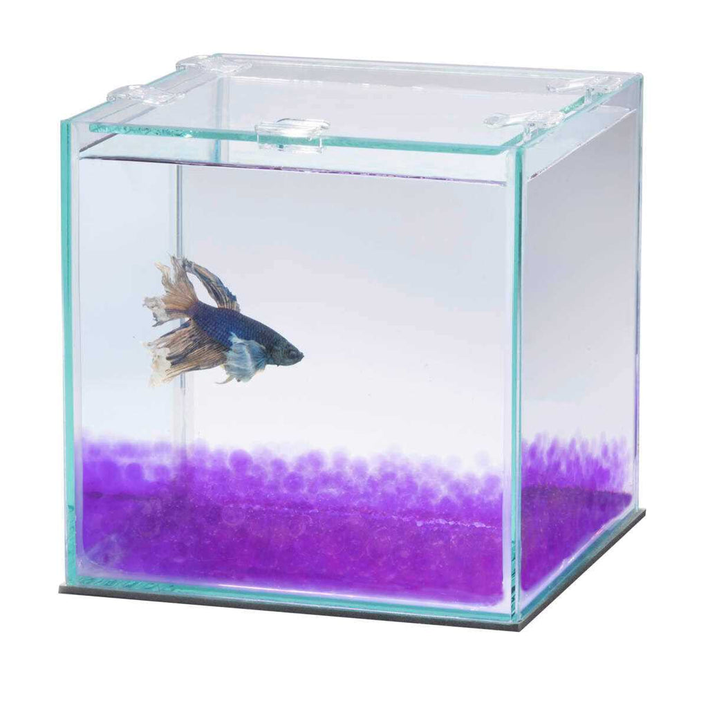 Betta Beads Y5542