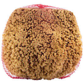 Large Natural Sea Sponge, Beige, 12/Case G476243