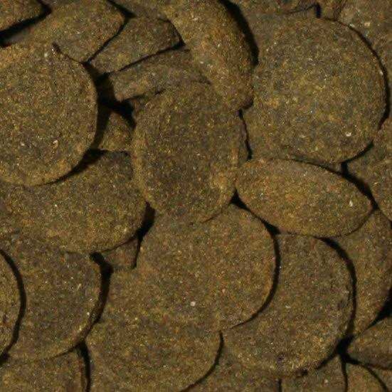 Veggie Rounds V3725